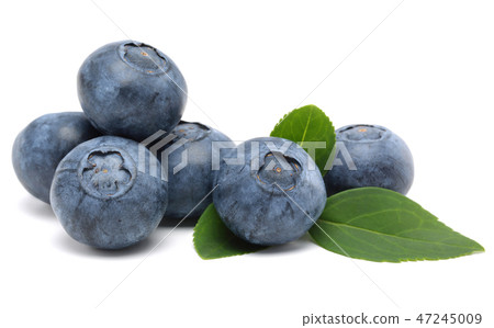 Fresh blueberries with leaves on white 47245009