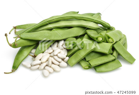 Fresh green beans and white dry beans Fresh green beans and white dry beans 47245099