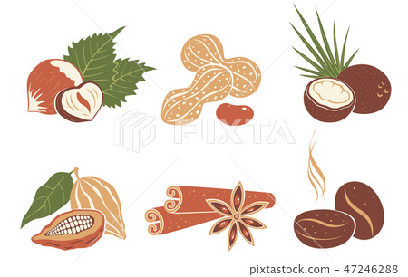 Vector set nuts icons Vector set nuts icons 47246288