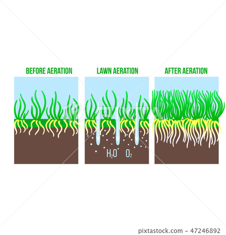 Vector Lawn aeration. Gardening grass lawncare 47246892