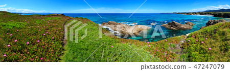 Atlantic blossoming coastline (Spain). Atlantic blossoming coastline (Spain). 47247079