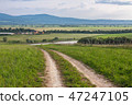 Road in the field under the blue sky 47247105
