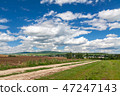 Road in the field under the blue sky 47247143