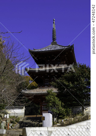 尾道古廟遊覽Saigokuji Saigokuji三塔 尾道古廟遊覽Saigokuji Saigokuji三塔 47248142