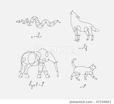 Animal pen line snake 47248601