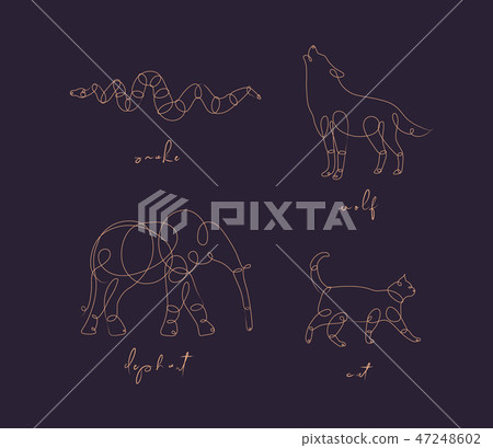 Animal pen line snake dark 47248602