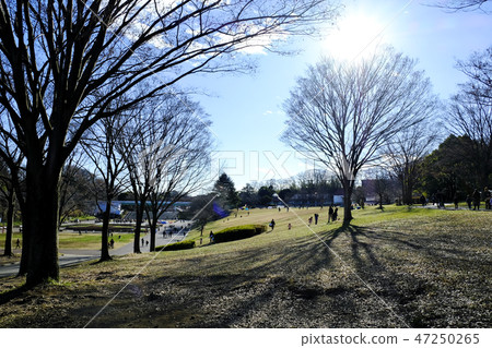 Yokohama Aoba Ward Children's Park 47250265