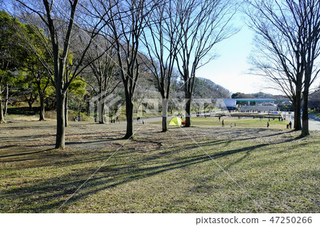 Yokohama Aoba Ward Children's Park 47250266