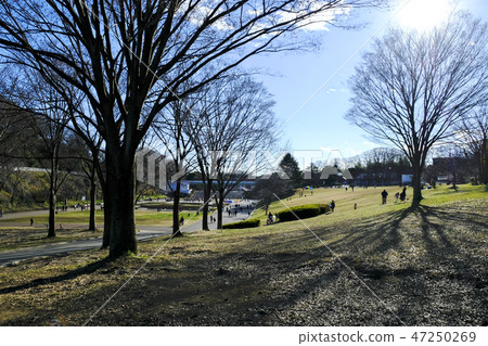 橫濱青葉區兒童公園 橫濱青葉區兒童公園 47250269
