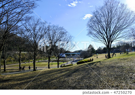 橫濱青葉區兒童公園 47250270