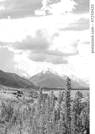 (Sepia) Aoraki (Sepia) Aoraki 47250420