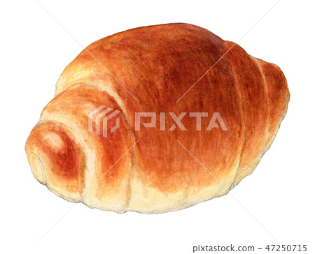 Bread Butter Roll Hand Drawn Watercolor Stock Illustration