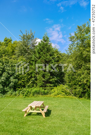 Picnic area with wooden table on green lawn in a park Picnic area with wooden table on green lawn in a park 47250752