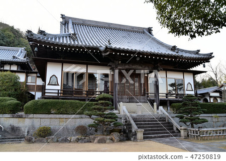 據說是岡山縣岡山市北區本善大師的出生地的建本寺正殿 據說是岡山縣岡山市北區本善大師的出生地的建本寺正殿 47250819