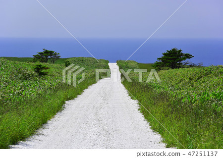 北海道宗谷丘陵通往大海的白色道路 北海道宗谷丘陵通往大海的白色道路 47251137