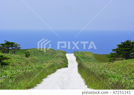 北海道宗谷丘陵通往大海的白色道路 北海道宗谷丘陵通往大海的白色道路 47251141
