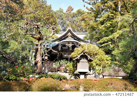 岡崎神社 47251487