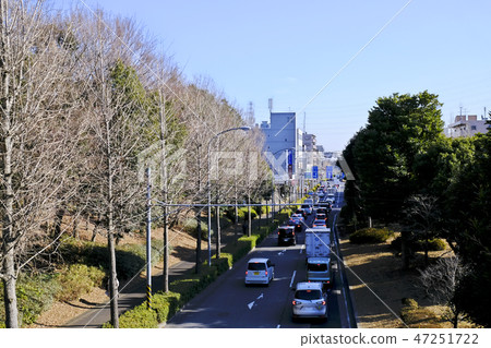 Road car Waiting for traffic light 47251722