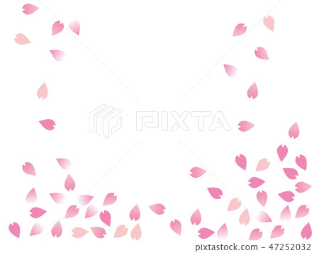 櫻花花瓣 47252032
