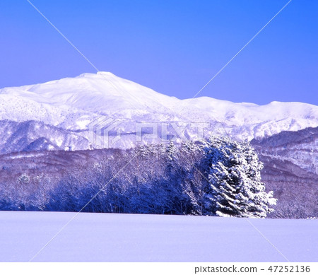 在北海道大倉山拍攝了Karibayama的冬季景觀 47252136