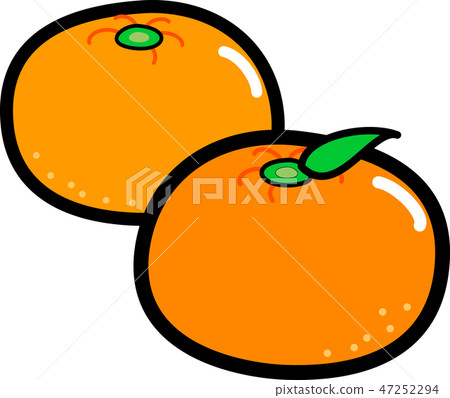 2個橘子黑色邊緣 47252294