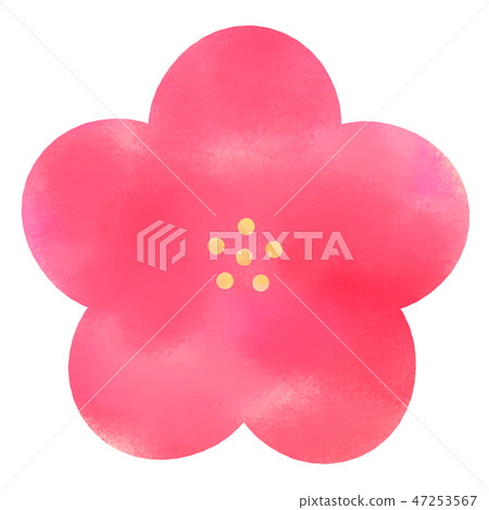 梅花_02 梅花_02 47253567