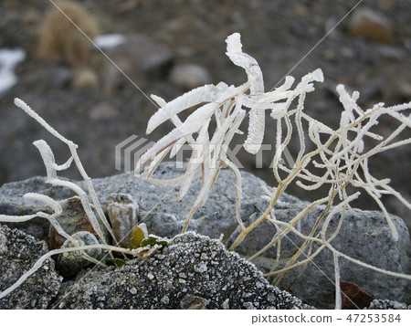 The fog ice of October ride 47253584