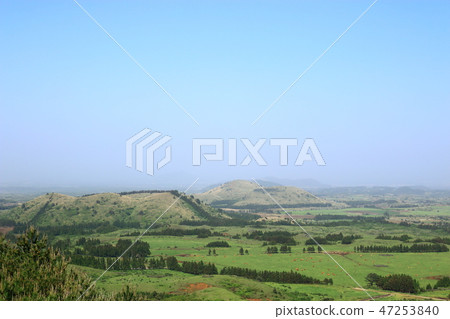 它是濟州島“黑色升天之東”的春天風景。 47253840