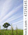 The blue sky 47254145