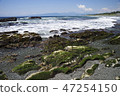 Shonan Coast Daisuke 47254150