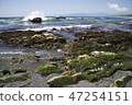 Shonan Coast Daisuke 47254151
