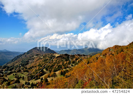 高山牧場的秋葉高動態範圍 47254824