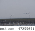 飛機（在飛行中） 47255651