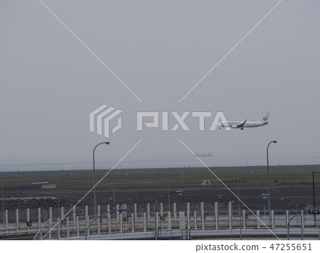 飛機（在飛行中） 47255651