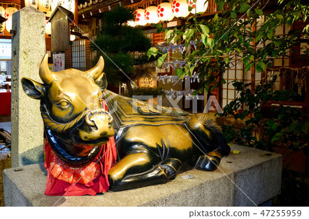 Cow at the foot of the Tenmangu Shrine (Kyoto) Cow at the foot of the Tenmangu Shrine (Kyoto) 47255959