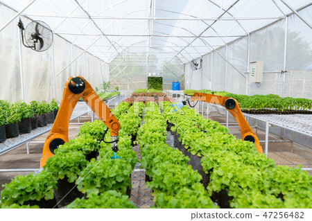 Smart robotic farmers harvest in agriculture Smart robotic farmers harvest in agriculture 47256482