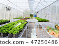Smart robotic farmers harvest in agriculture 47256486