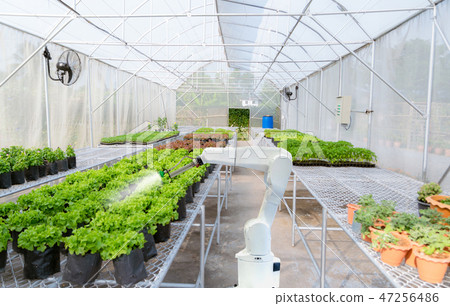 Smart robotic farmers harvest in agriculture Smart robotic farmers harvest in agriculture 47256486