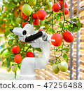 Smart robotic farmers harvest in agriculture 47256488