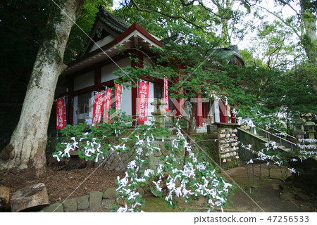 Ito Shiomi Shrine Ito Shiomi Shrine 47256533