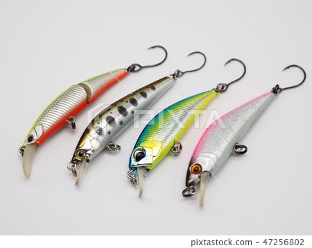 桃花魚 桃花魚 47256802