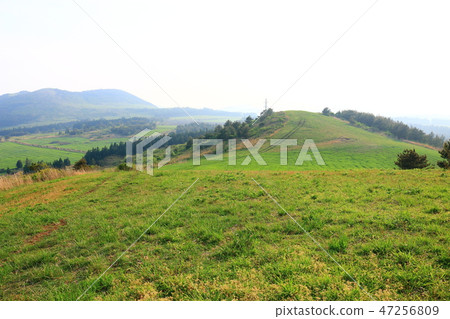 It is the spring scenery of "Munseok-jin" in Jeju. It is the spring scenery of "Munseok-jin" in Jeju. 47256809