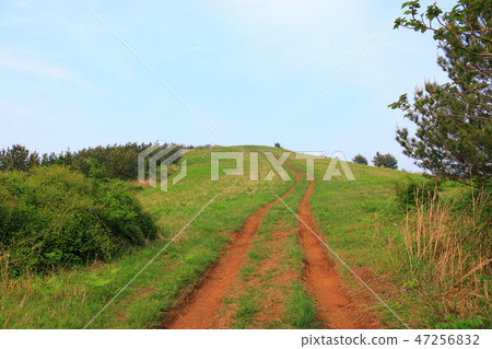 It is the spring scenery of "Munseok-jin" in Jeju. It is the spring scenery of "Munseok-jin" in Jeju. 47256832