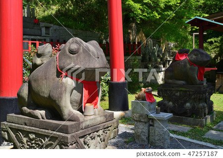Red torii 47257187
