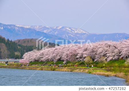 Sakurakage Tochigiuchi河岸 47257282