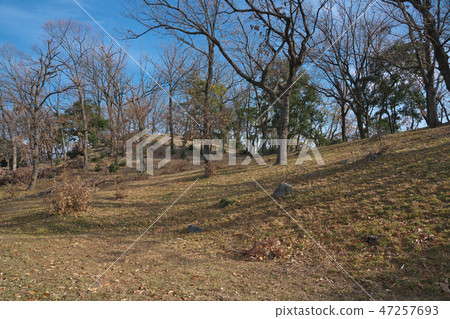 [Otorizuka Tumulus] 2 Komuro, Fujiidera City, Osaka Prefecture 47257693