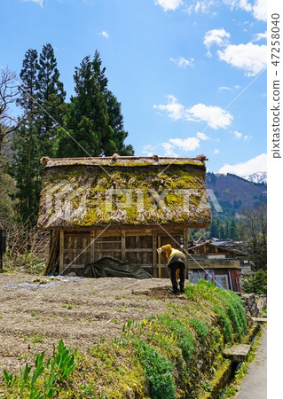 Field work of Gassho village 47258040