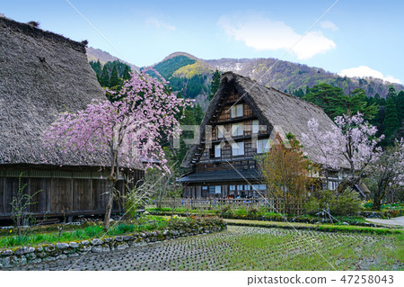 Shirakawa-go spring 47258043
