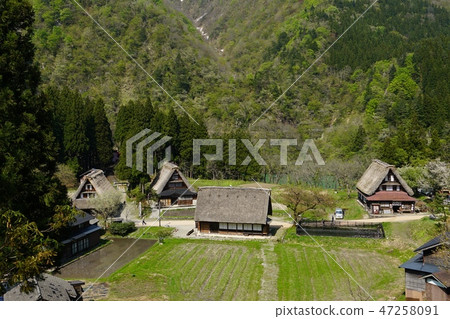 Kakinuma Gassho村莊建於春天 Kakinuma Gassho村莊建於春天 47258091