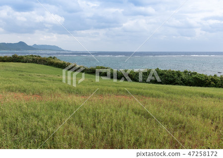 Ishigakijima / Noharazaki Ishigakijima / Noharazaki 47258172